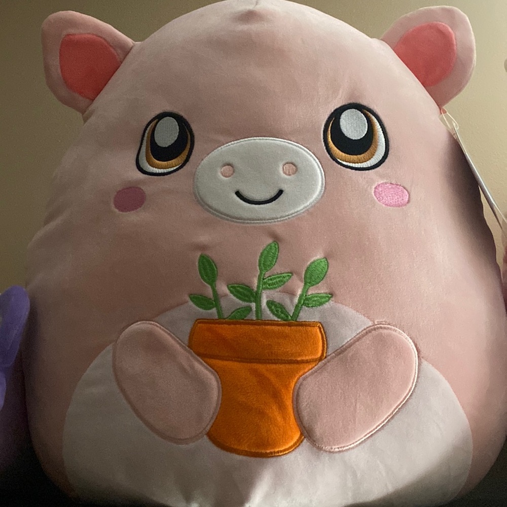 Hettie Squishmallow large nwt